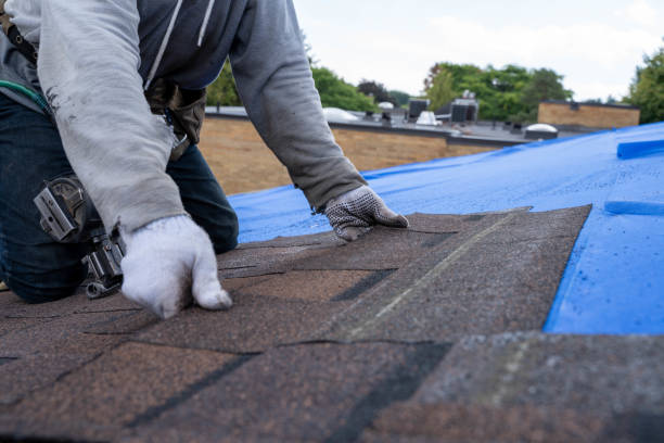 Best Flat Roof Repair Services  in Springdale, OH